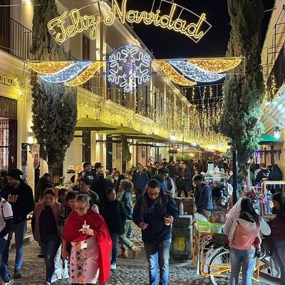 ALLTTG Foundation photo 47